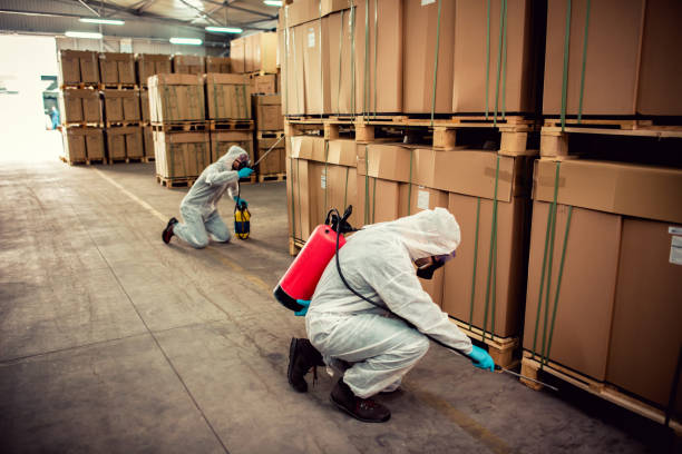 Best Bed Bug Extermination  in Sansom Park, TX