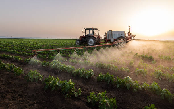 Best Commercial Pest Control Services  in Sansom Park, TX