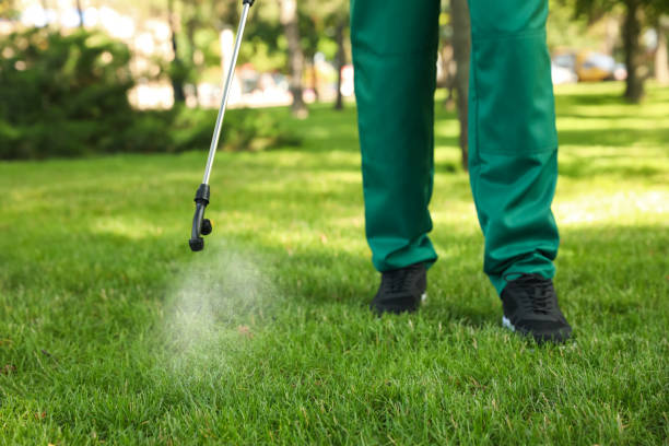 Best Ant Control Services  in Sansom Park, TX