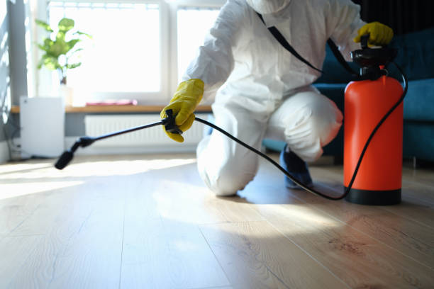 Best Flea Control Services  in Sansom Park, TX