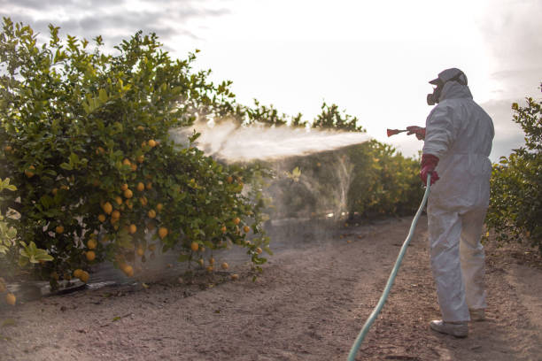 Best Commercial Pest Control Services  in Sansom Park, TX