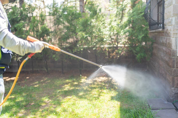 Best Rat Extermination Near Me  in Sansom Park, TX