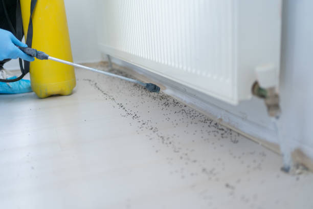 Best Affordable Pest Control Services  in Sansom Park, TX