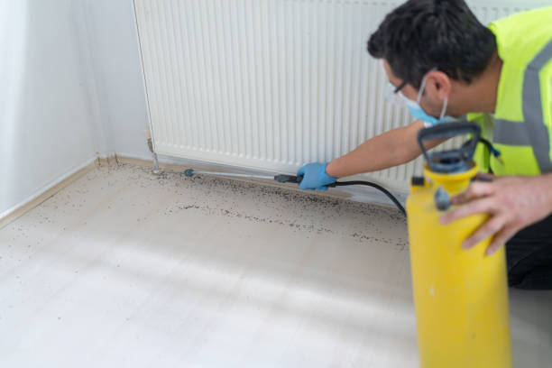 Best Wasp Removal Services  in Sansom Park, TX